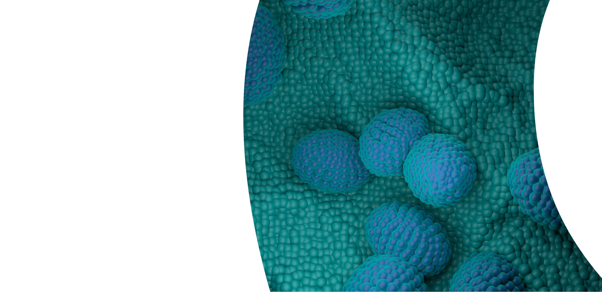 Immunoterapia onkologiczna