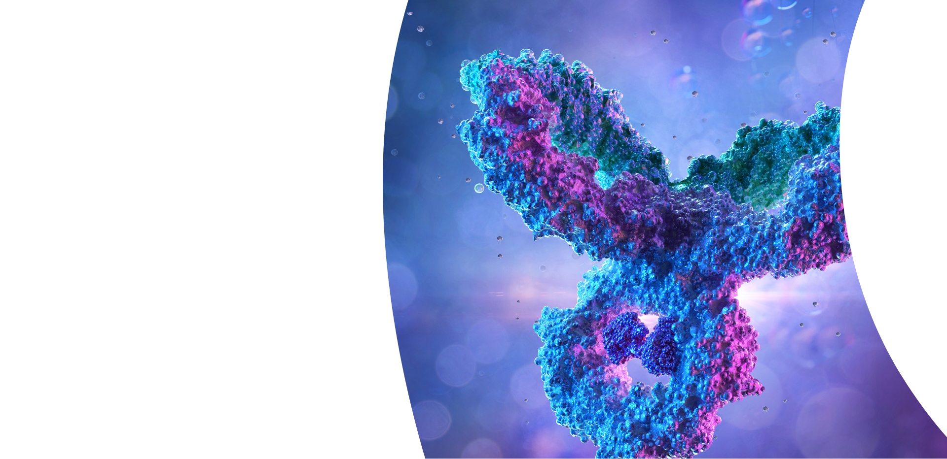 Immunoterapia w konflikcie serologicznym